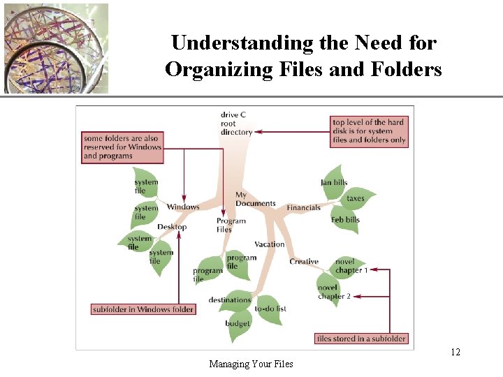 Understanding the Need for Organizing Files and Folders XP 12 Managing Your Files 