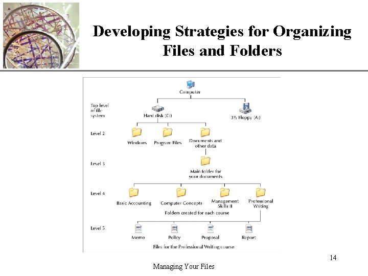 XP Developing Strategies for Organizing Files and Folders 14 Managing Your Files 