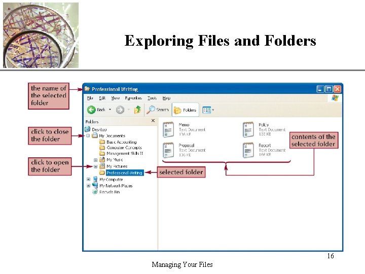 Exploring Files and Folders XP 16 Managing Your Files 