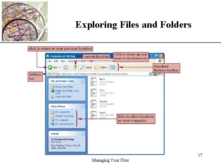 Exploring Files and Folders XP 17 Managing Your Files 
