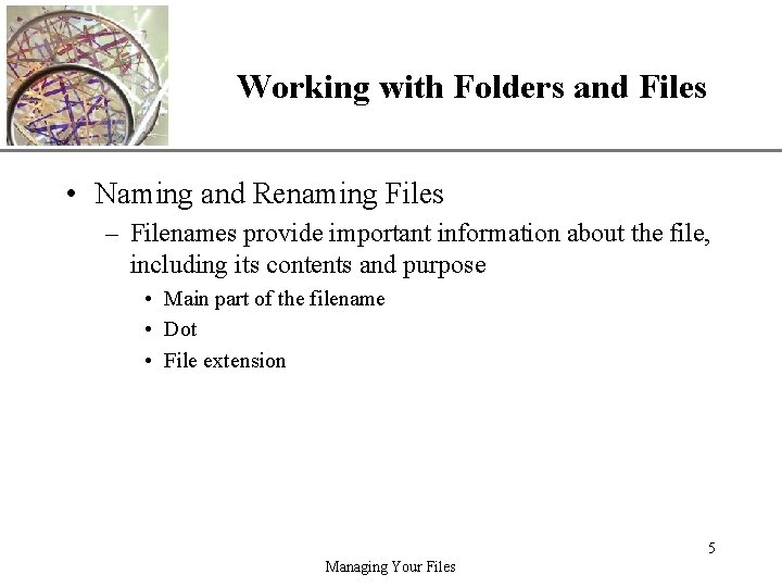 XP Working with Folders and Files • Naming and Renaming Files – Filenames provide