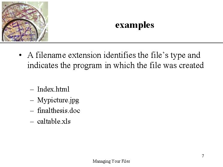 examples XP • A filename extension identifies the file’s type and indicates the program