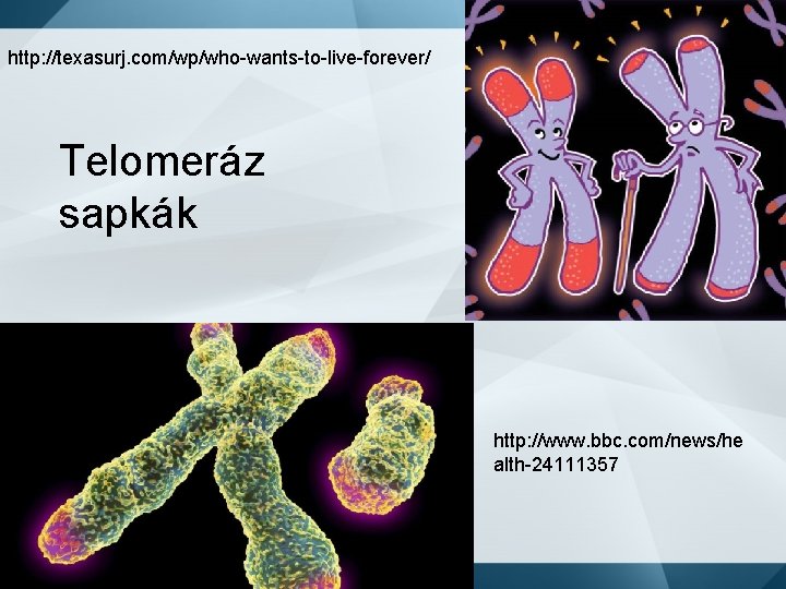 http: //texasurj. com/wp/who-wants-to-live-forever/ Telomeráz sapkák http: //www. bbc. com/news/he alth-24111357 
