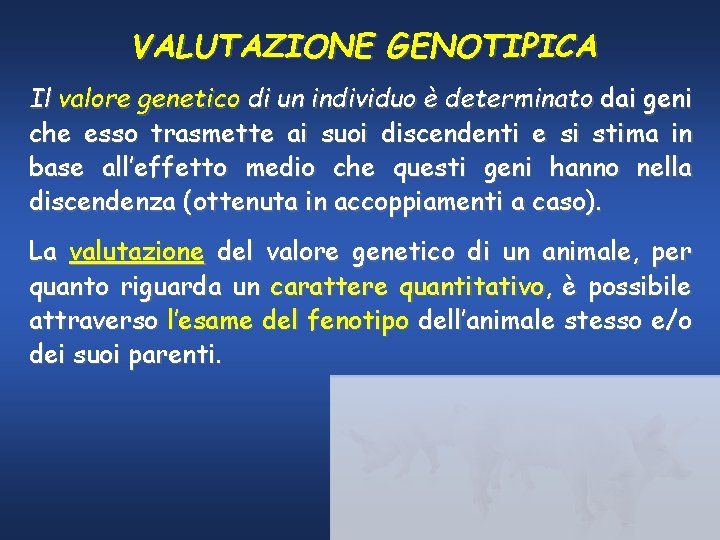 VALUTAZIONE GENOTIPICA Il valore genetico di un individuo è determinato dai geni che esso