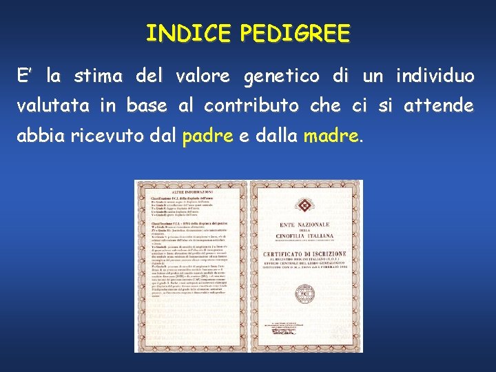 INDICE PEDIGREE E’ la stima del valore genetico di un individuo valutata in base