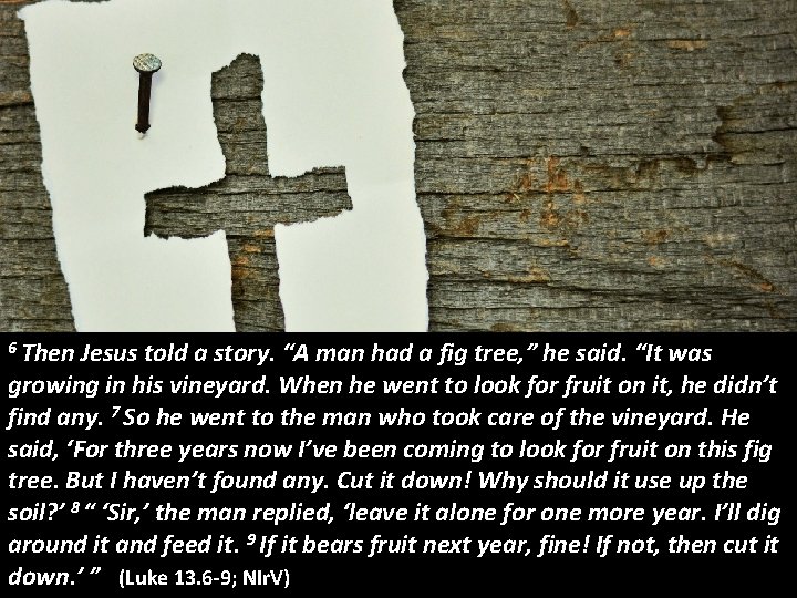 6 Then Jesus told a story. “A man had a fig tree, ” he