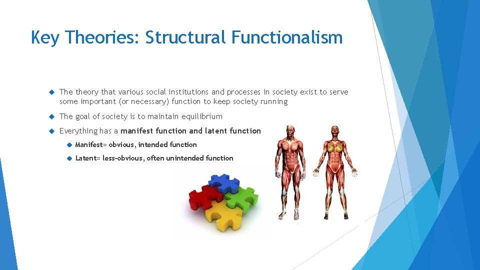Key Theories: Structural Functionalism The theory that various social institutions and processes in society