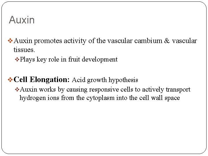 Auxin v Auxin promotes activity of the vascular cambium & vascular tissues. v. Plays
