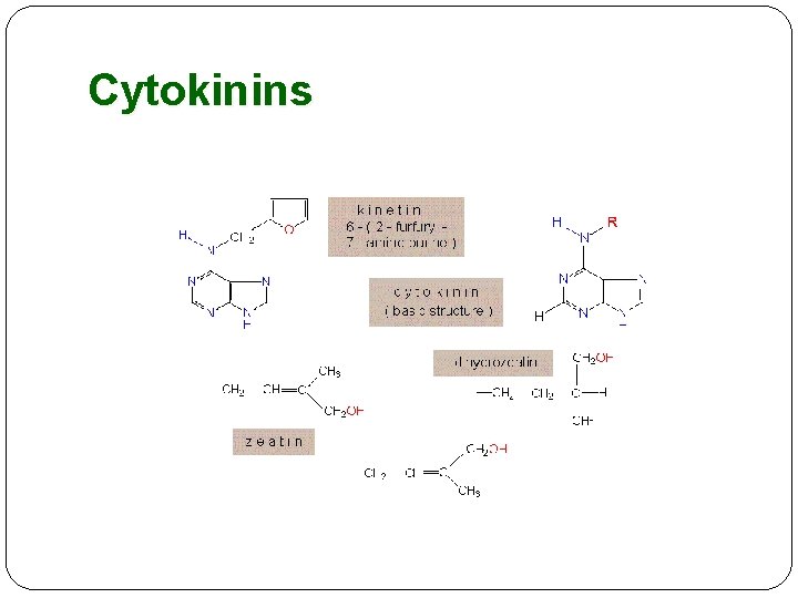 Cytokinins 