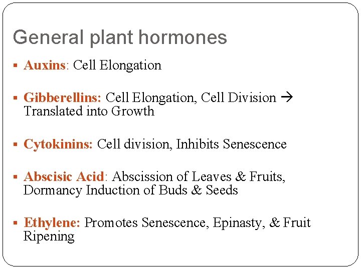 General plant hormones § Auxins: Auxins Cell Elongation § Gibberellins: Cell Elongation, Cell Division