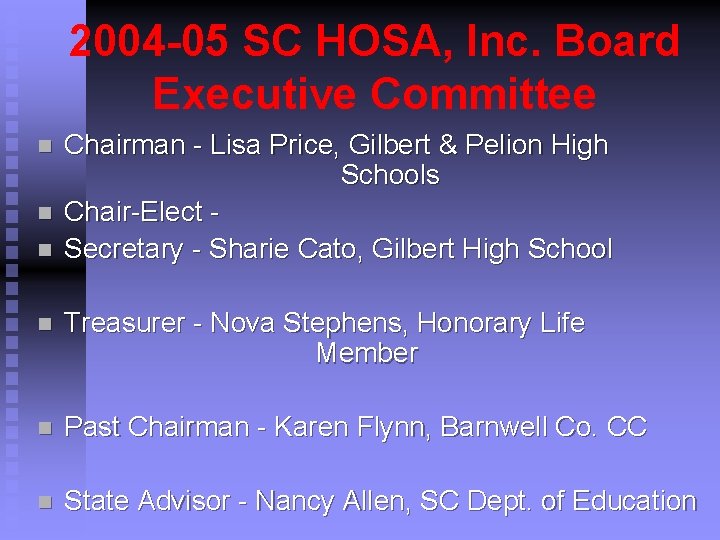 2004 -05 SC HOSA, Inc. Board Executive Committee n n n Chairman - Lisa
