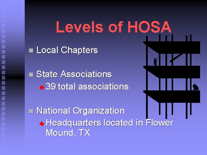Levels of HOSA n Local Chapters n State Associations u 39 total associations n