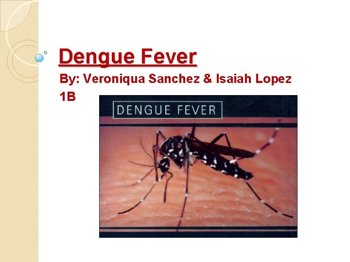 Dengue Fever By: Veroniqua Sanchez & Isaiah Lopez 1 B 