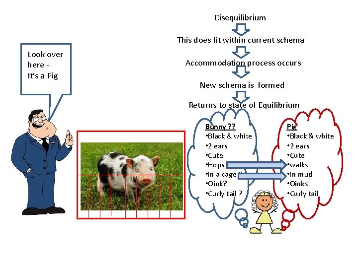 Disequilibrium This does fit within current schema Look over here It’s a Pig Accommodation Disequilibrium This does fit within current schema Look over here It’s a Pig Accommodation