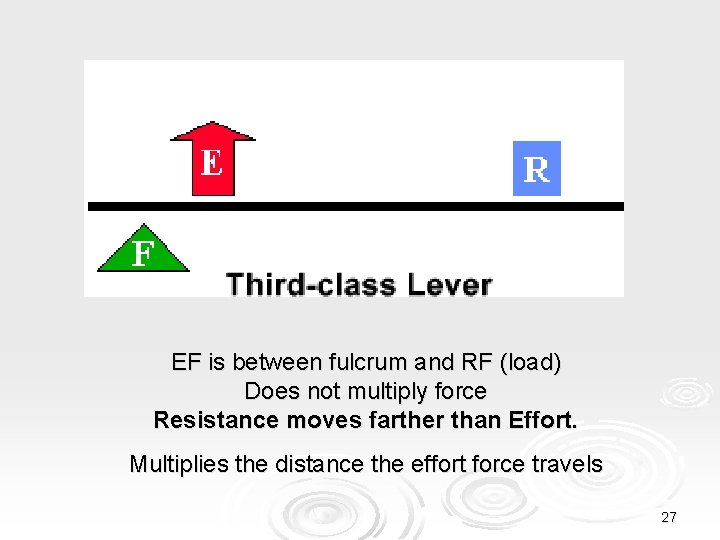 EF is between fulcrum and RF (load) Does not multiply force Resistance moves farther