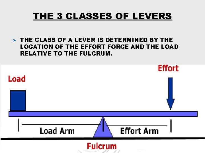 THE 3 CLASSES OF LEVERS Ø THE CLASS OF A LEVER IS DETERMINED BY
