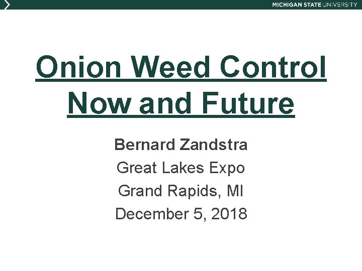 Onion Weed Control Now and Future Bernard Zandstra Great Lakes Expo Grand Rapids, MI
