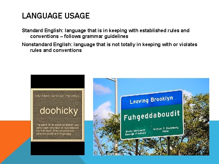 LANGUAGE USAGE Standard English: language that is in keeping with established rules and conventions