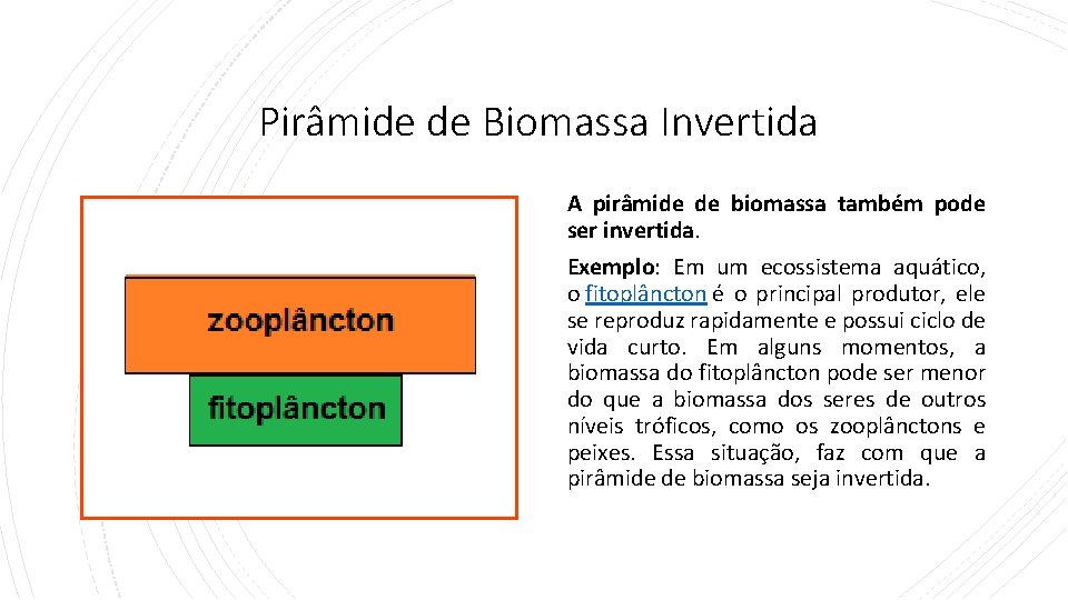 Pirâmide de Biomassa Invertida A pirâmide de biomassa também pode ser invertida. Exemplo: Em Pirâmide de Biomassa Invertida A pirâmide de biomassa também pode ser invertida. Exemplo: Em