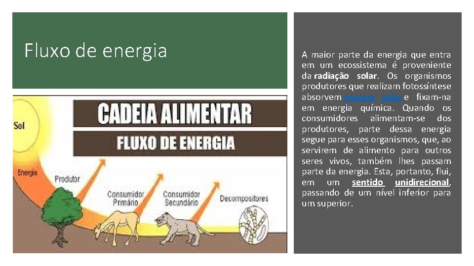 Fluxo de energia A maior parte da energia que entra em um ecossistema é Fluxo de energia A maior parte da energia que entra em um ecossistema é