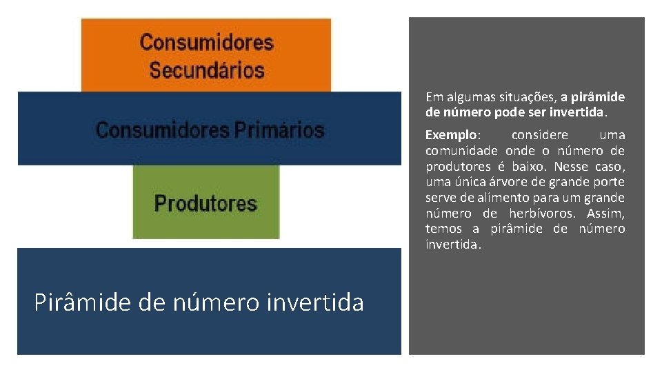 Em algumas situações, a pirâmide de número pode ser invertida. Exemplo: considere uma comunidade Em algumas situações, a pirâmide de número pode ser invertida. Exemplo: considere uma comunidade
