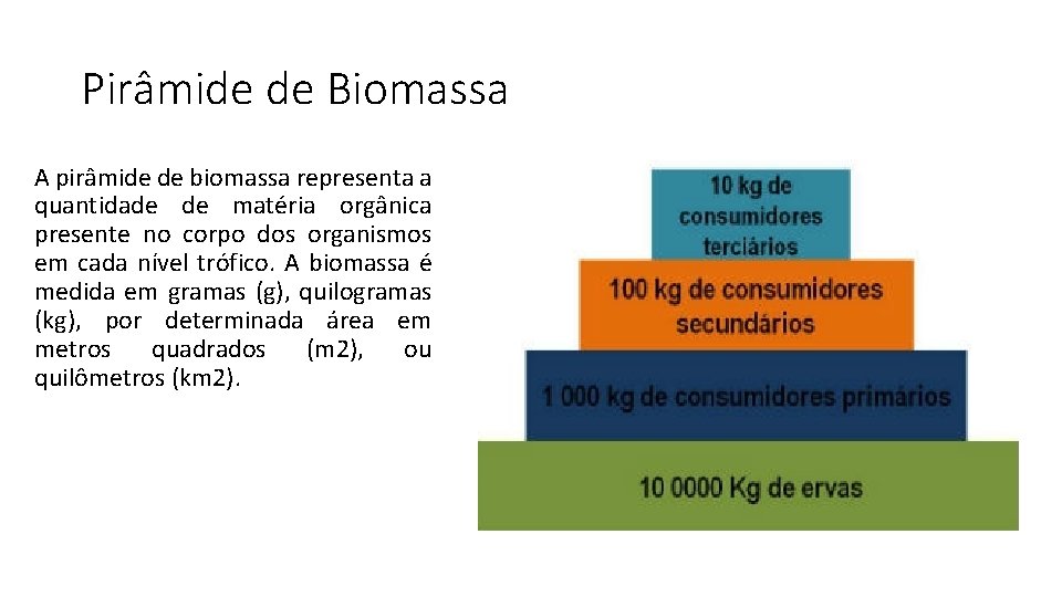 Pirâmide de Biomassa A pirâmide de biomassa representa a quantidade de matéria orgânica presente Pirâmide de Biomassa A pirâmide de biomassa representa a quantidade de matéria orgânica presente
