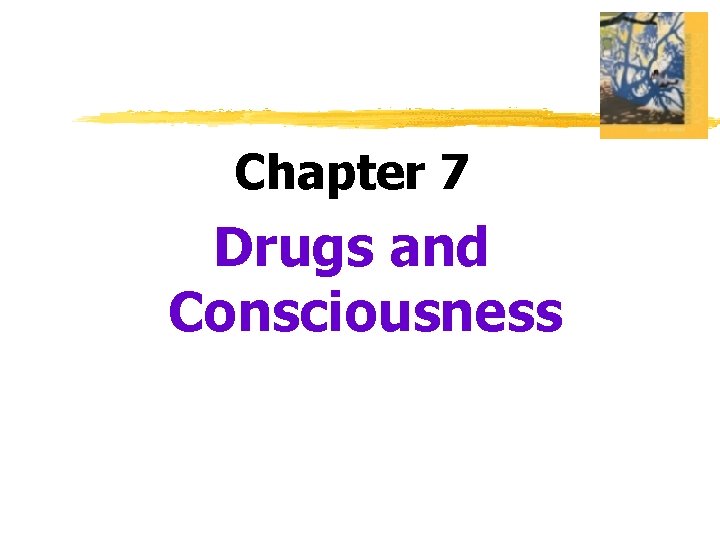 Chapter 7 Drugs and Consciousness 