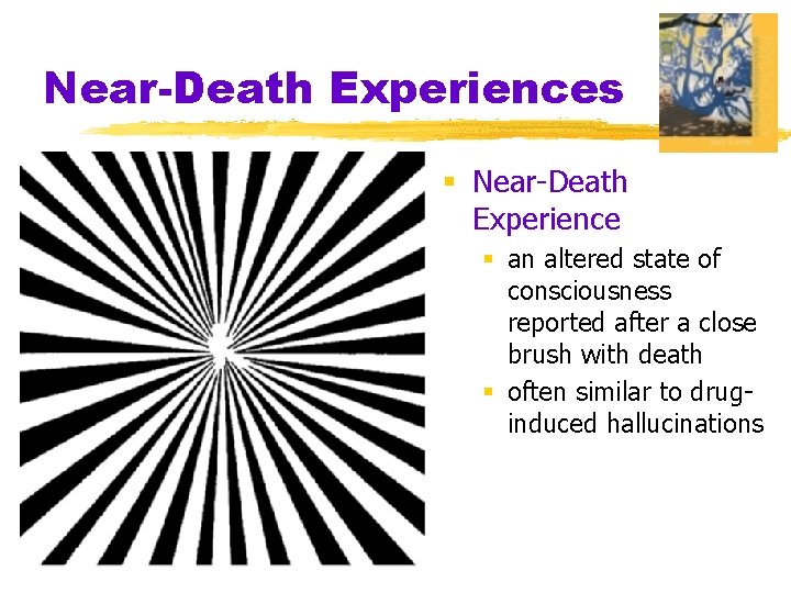 Near-Death Experiences § Near-Death Experience § an altered state of consciousness reported after a
