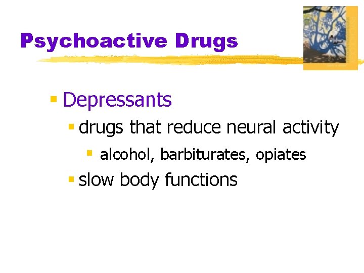 Psychoactive Drugs § Depressants § drugs that reduce neural activity § alcohol, barbiturates, opiates