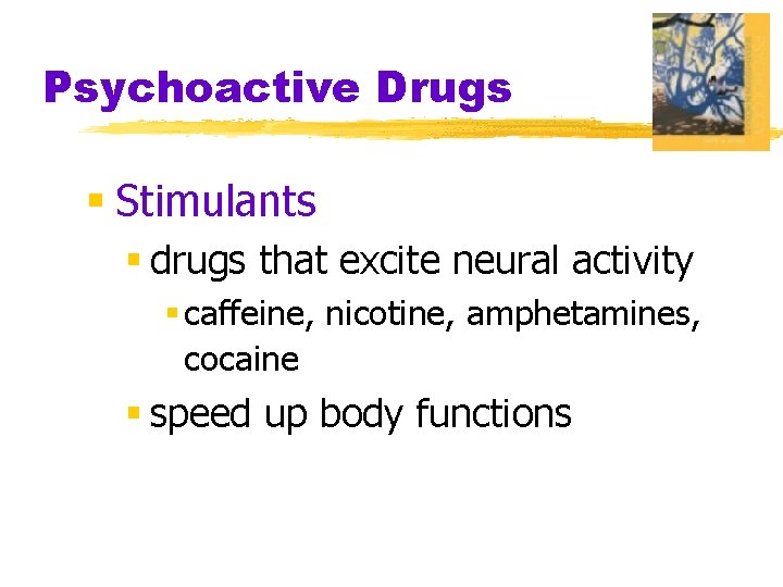 Psychoactive Drugs § Stimulants § drugs that excite neural activity § caffeine, nicotine, amphetamines,