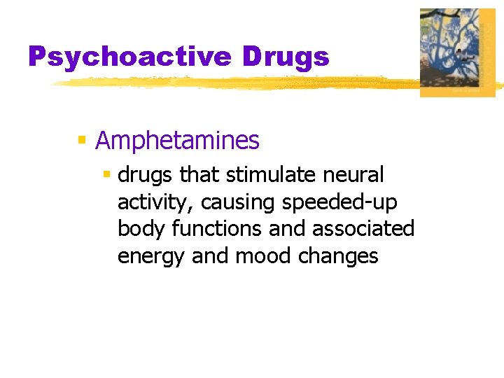 Psychoactive Drugs § Amphetamines § drugs that stimulate neural activity, causing speeded-up body functions