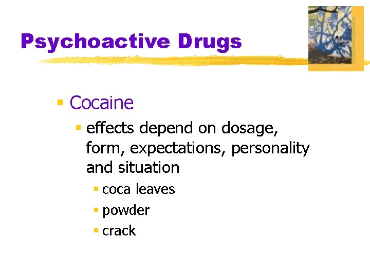 Psychoactive Drugs § Cocaine § effects depend on dosage, form, expectations, personality and situation