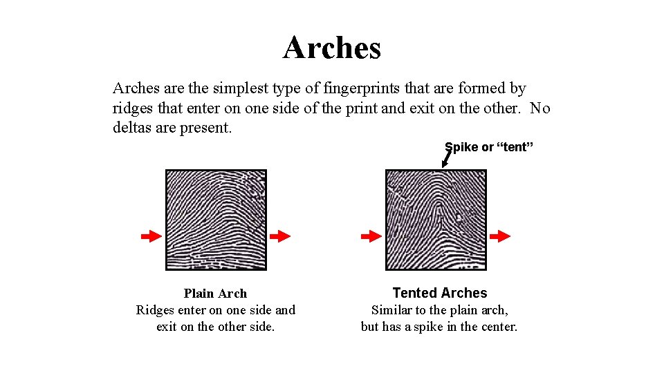 Arches are the simplest type of fingerprints that are formed by ridges that enter