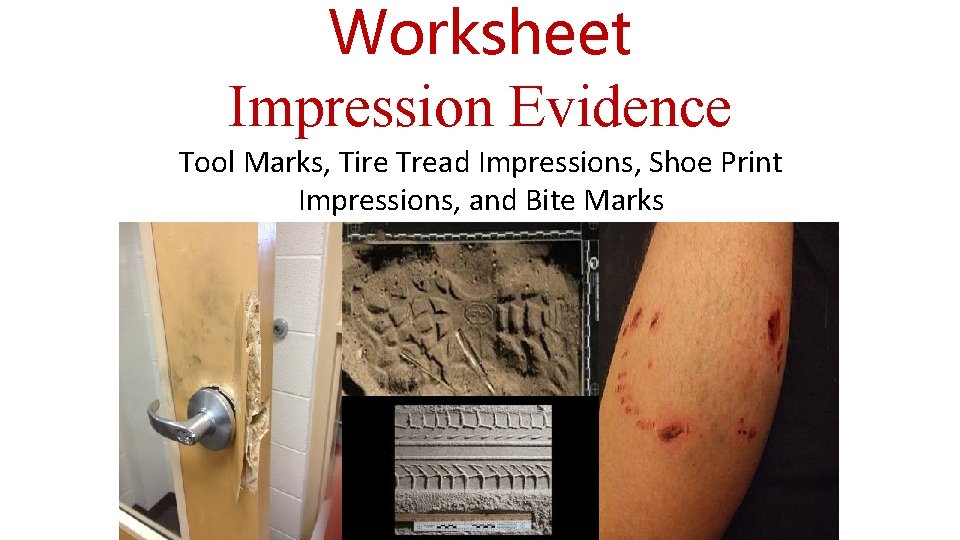 Worksheet Impression Evidence Tool Marks, Tire Tread Impressions, Shoe Print Impressions, and Bite Marks
