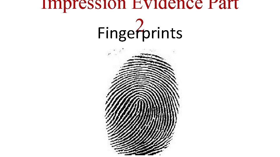 Impression Evidence Part 2 Fingerprints 