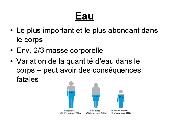 Eau • Le plus important et le plus abondant dans le corps • Env.