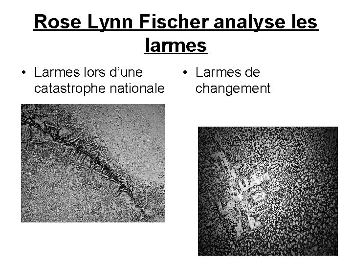 Rose Lynn Fischer analyse les larmes • Larmes lors d’une catastrophe nationale • Larmes