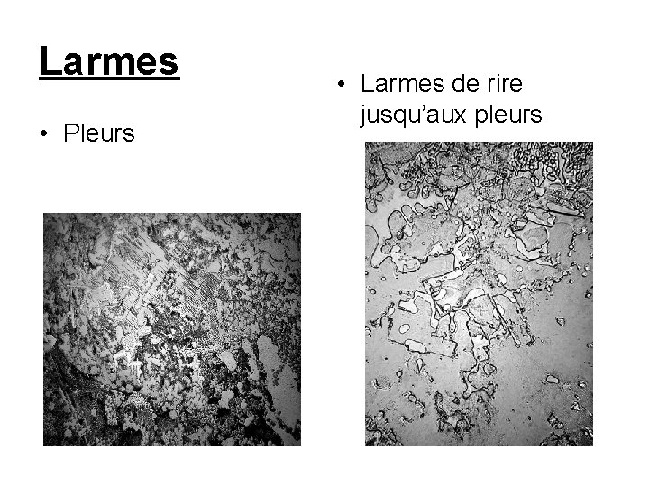 Larmes • Pleurs • Larmes de rire jusqu’aux pleurs 