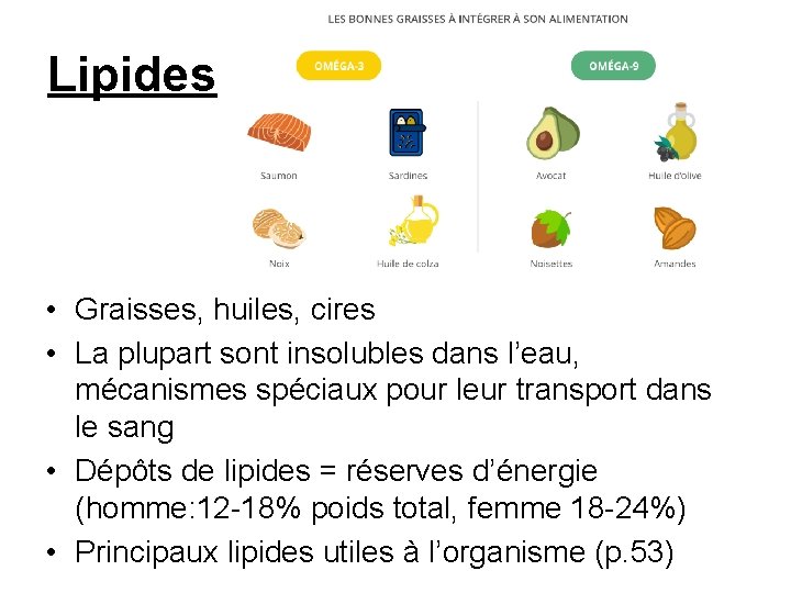 Lipides • Graisses, huiles, cires • La plupart sont insolubles dans l’eau, mécanismes spéciaux