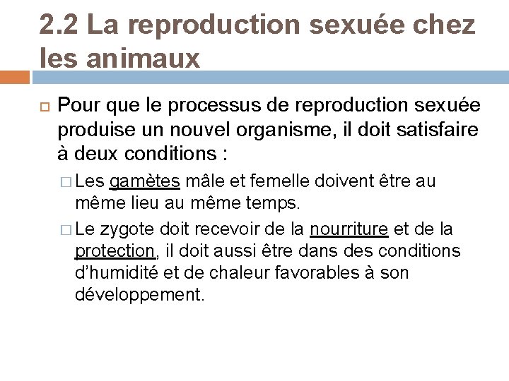 2. 2 La reproduction sexuée chez les animaux Pour que le processus de reproduction
