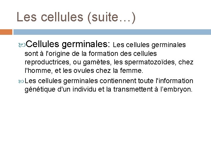 Les cellules (suite…) Cellules germinales: Les cellules germinales sont à l'origine de la formation