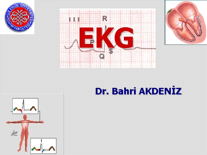 EKG Dr. Bahri AKDENİZ 