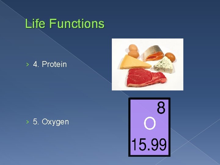 Life Functions › 4. Protein › 5. Oxygen 