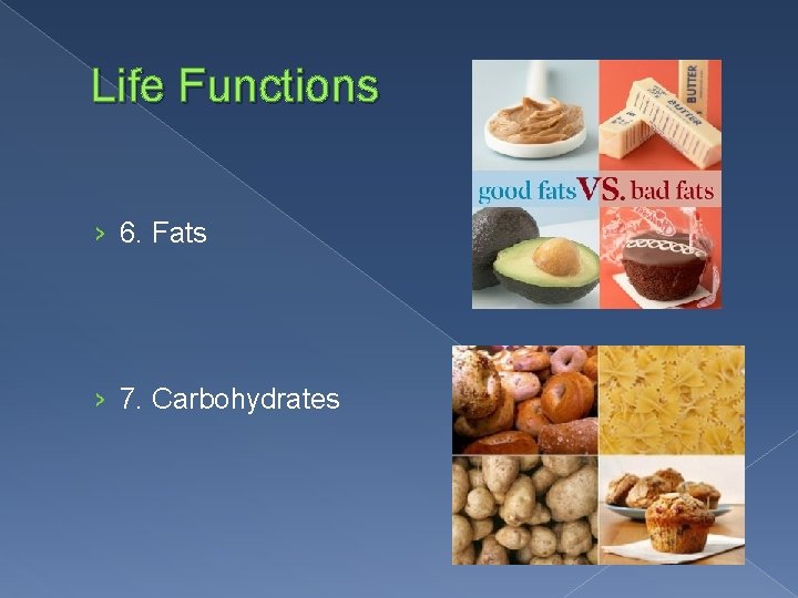 Life Functions › 6. Fats › 7. Carbohydrates 