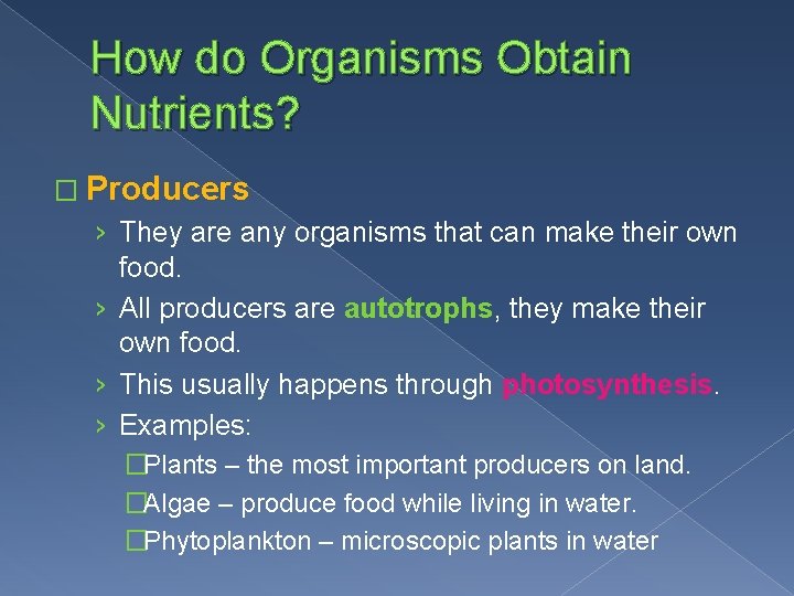 How do Organisms Obtain Nutrients? � Producers › They are any organisms that can