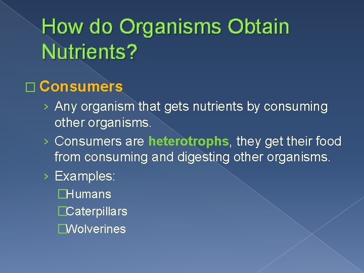 How do Organisms Obtain Nutrients? � Consumers › Any organism that gets nutrients by