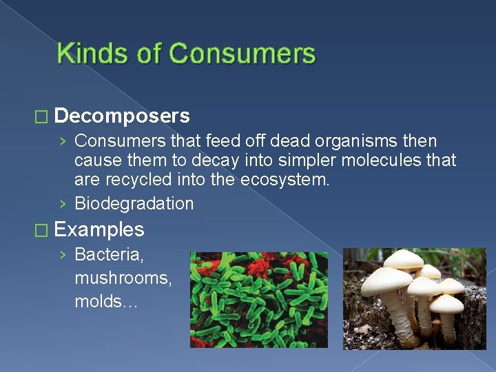 Kinds of Consumers � Decomposers › Consumers that feed off dead organisms then cause