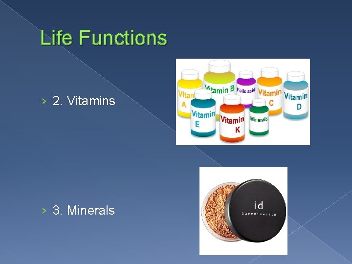 Life Functions › 2. Vitamins › 3. Minerals 