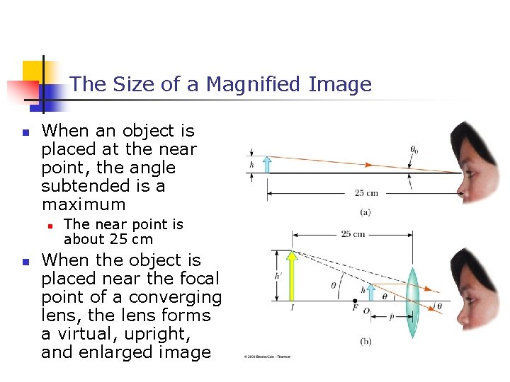 The Size of a Magnified Image n When an object is placed at the