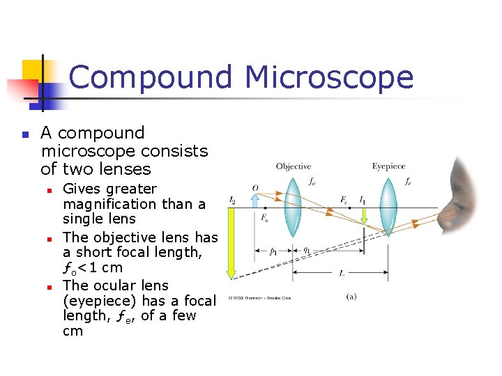 Compound Microscope n A compound microscope consists of two lenses n n n Gives